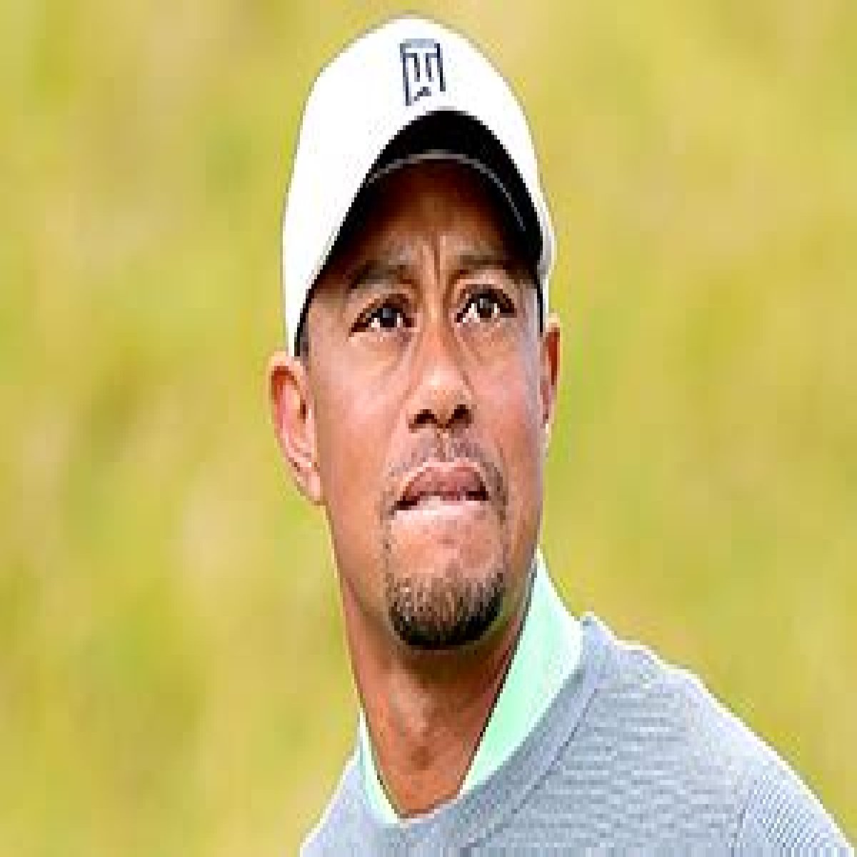 Tiger Woods Denies Cheating With Amanda Boyd, Pro Golfer's Ex-Wife
